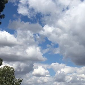 Meet your Posher, Cris